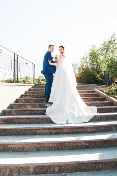 Élégant élégant jeune couple belle mariée et marié embrassant face à face sur les escaliers — Photo