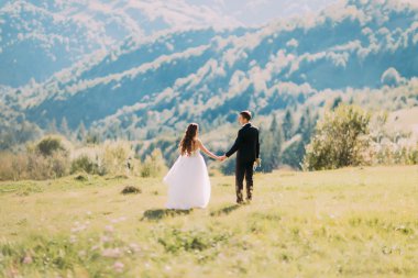 Güzel gelin ve damat çayırda el ele tutuşarak geri yürüyor