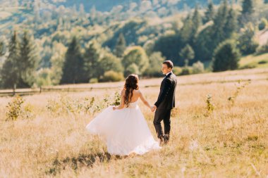 Mutlu genç gelin ve damat tepelerde el ele yürüyor