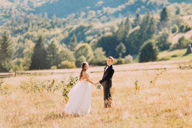 Mutlu genç gelin ve damat tepelerde el ele yürüyor