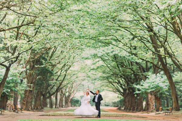 Щаслива весільна пара чарівний наречений і блондинка наречена танцює в парку в сонячний день — стокове фото