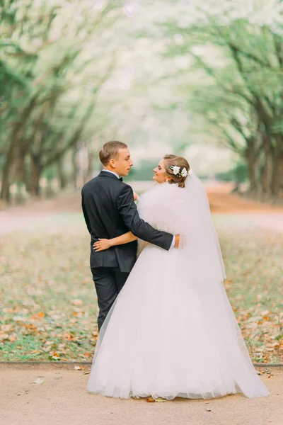 美しい新郎と花嫁は、森の上に立って、公園の背景 — ストック写真