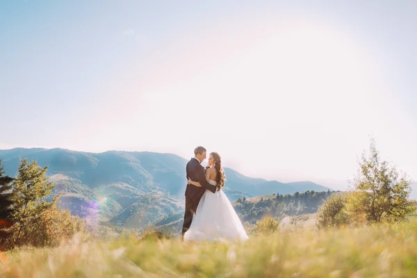De bruid en bruidegom knuffelen op de weide met berg achtergrond. — Stockfoto