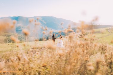 Kır çiçekleri üzerinde arka plan bulanık - damat ve gelin çayırda yürüyüş