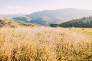 Dağ manzarası Karpat, Ukrayna, Europe fantastik güneşli bir günde.