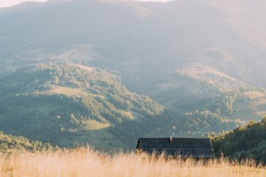 Çam ağaçları, ahşap çitler ve Ukrayna yazlık dağ manzarası