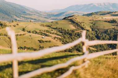 gün güzel yaz yeşil çayır çit