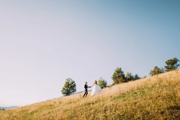 Vista trasera de pareja casada caminando en pradera amarilla en verano . — Foto de Stock