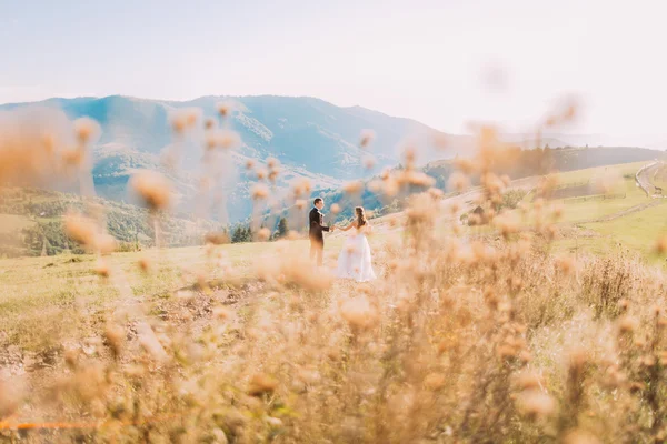 Fiori di campo su sfondo sfocato - sposo e sposa che camminano nel prato — Foto Stock