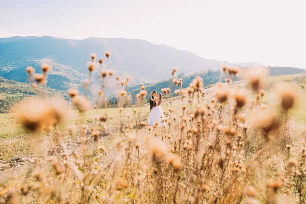 Kır çiçekleri üzerinde arka plan bulanık - damat ve gelin çayırda yürüyüş
