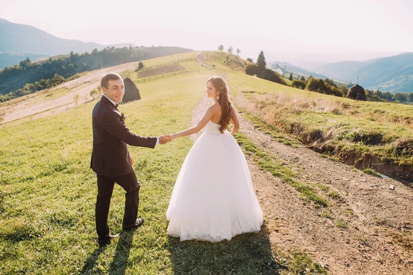Güzel gelin ve damat yürüyüş tutuşup dağ arka plan ile çayır geri
