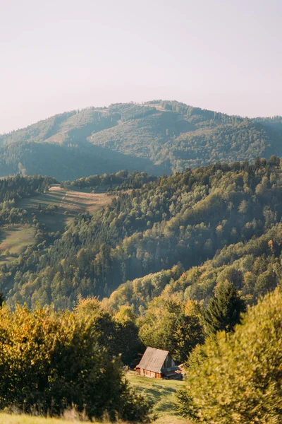 Горный ландшафт с еловыми деревьями, деревянными заборами и коттеджем в Украине — стоковое фото