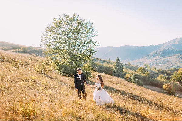 Gelin ve damat dağ arka plan ile çayır üzerinde yeşil ağacın yanında yürüyen gülümseyen güzel