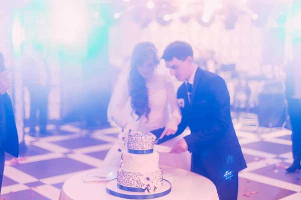 Stylish bride and groom in the restaurant cutting cake — Stock Photo, Image