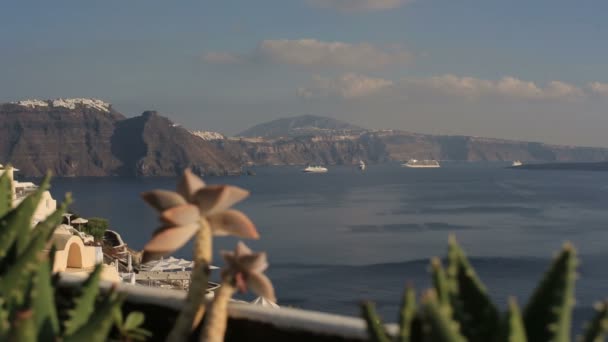 Pittoreska kaktusar och romantisk utsikt från en höjd över calderan, stenar och vulcan i staden Fira på soliga sommardag. Vackra, naturliga omgivningar i Santorini, Grekland — Stockvideo