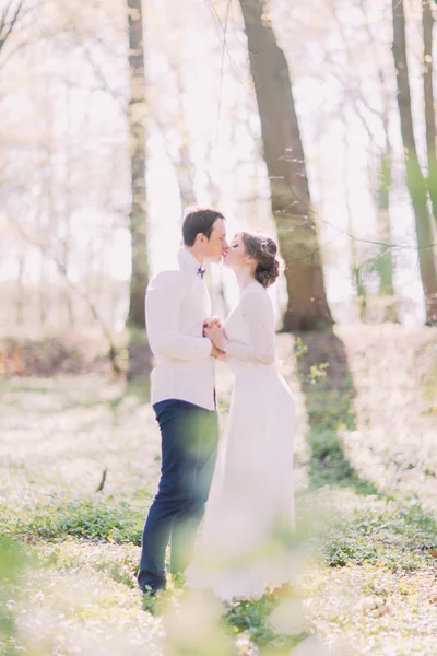 Счастливые поцелуи жениха и невесты в весеннем парке держатся за руки — стоковое фото