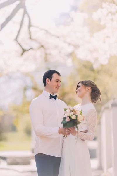 Sinnliches Hochzeitspaar, Bräutigam und Braut, die einander lachend halten — Stockfoto