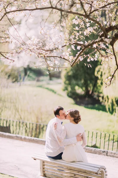 Giovane sposo baciare la sposa seduta di nuovo sul mazzo con sfondo di alberi in fiore — Foto Stock