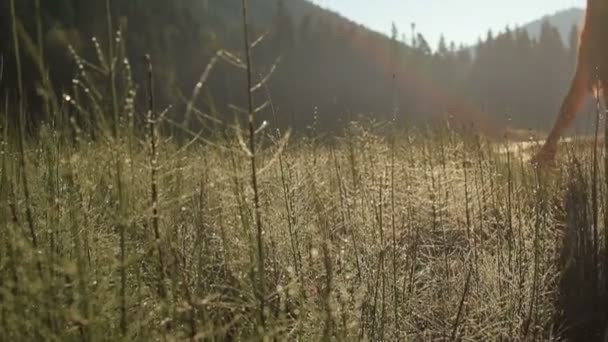 Close up of fragile womans hand softly touching green grass on the field and enjoying nature and sunlight in the mountains. Harmony between human and nature — Αρχείο Βίντεο