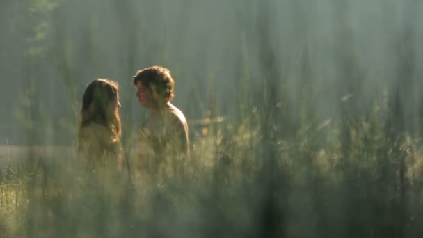 Schönes nacktes verliebtes Paar hält Händchen und küsst sanft auf der grünen Bergwiese bei Sonnenuntergang — Stockvideo