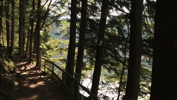 Río al amanecer en el bosque Cárpatos — Vídeos de Stock