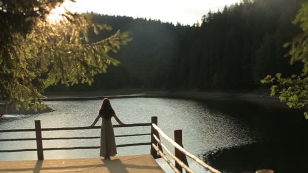 Silhouette de belle jeune femme nymphe aux longs cheveux foncés profiter du paysage naturel sur le lac de montagne Synevir dans les Carpates — Video