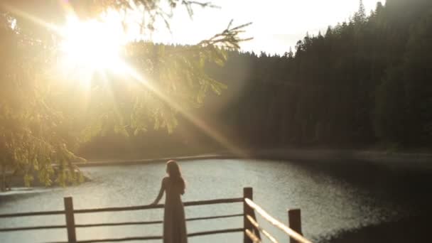 긴 어두운 머리와 화려한 젊은 여자 님프의 백 뷰는 카르파티아의 산 호수 Synevir에 자연 풍경을 즐길 수 — 비디오