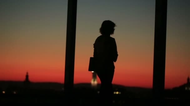 Silueta de joven atractiva mujer de negocios con portátil en el fondo del atardecer en el paisaje de la ciudad. Proceso de trabajo — Vídeo de stock