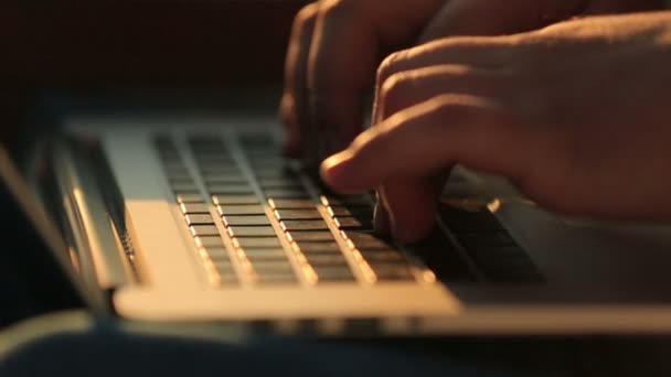 Close up of man hands typing on a laptop keyboard on sunset background — Stock Video