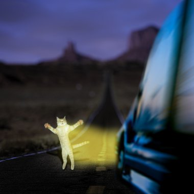 Funny cat is scared of car moving on the night road clipart