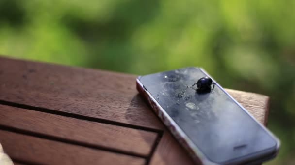 Escarabajo negro arrastrándose en el teléfono maltratado de cerca. Fondo del bosque verde. La naturaleza triunfó en tecnología — Vídeos de Stock