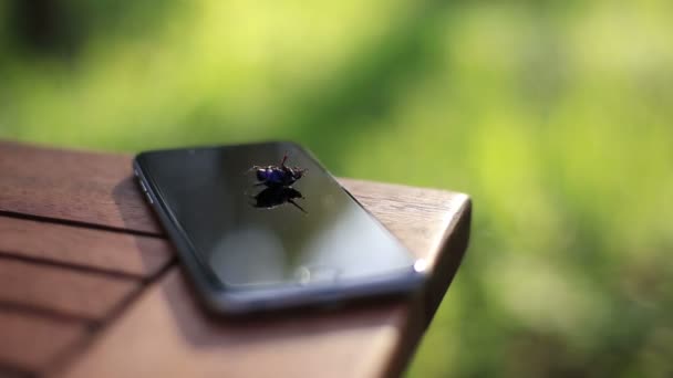 Zwarte kever kruipen op de gehavende telefoon close-up. Groene bos achtergrond. Natuur gezegevierd technologie — Stockvideo