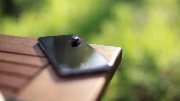 Scarabeo nero striscia sul telefono malconcio da vicino. Sfondo foresta verde. La natura ha trionfato la tecnologia — Video Stock