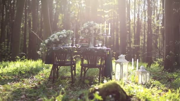 Düğün dekorasyon doğa orman üzerinde. Düğün dekorasyon çikolata tonlarında. Ormandaki çiçeklerle düğün masada çikolatalı kek. — Stok video