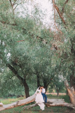 Mutlu evli çift oturma güneşli gün ağaç gövdesi springrark veya ormanın çayırda üzerinde elele