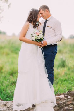 Güzel genç evli çift, beyaz elbise ve alınları ağaç gövdesi üzerinde kucaklayan yakışıklı damat gelin