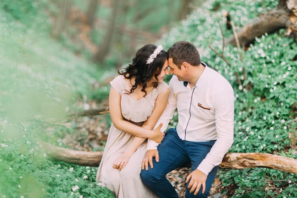Усміхнена пара закоханих сидить і обіймає чола на стовбурі дерева на лузі весняних квітів у сонячний день — стокове фото
