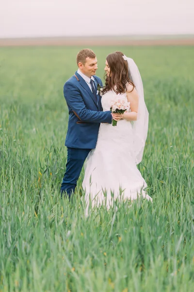 Hermosa pareja de boda, novia, novio posando y caminando en el campo de hierba verde alta — Foto de Stock