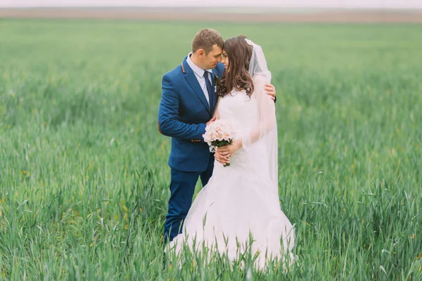 Hermosa pareja de boda, novia, novio abrazando en el campo de hierba verde alto, primer plano —  Fotos de Stock