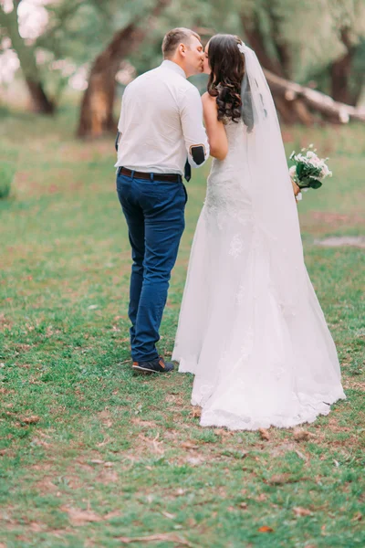 Hermosa pareja casada caminando de espaldas cogidas de la mano y besándose en el bosque verde de fondo — Foto de Stock