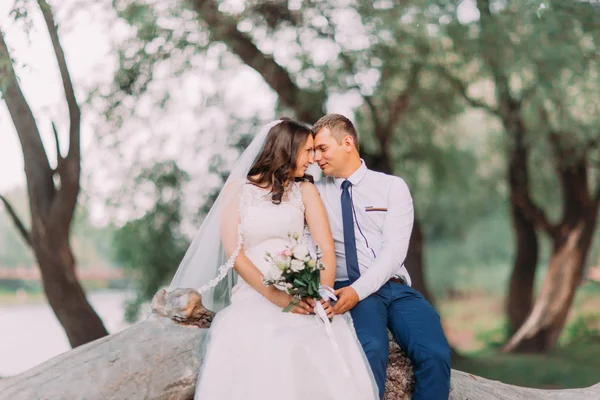 Feliz pareja de casados sentados tomados de la mano en el tronco del árbol en el prado de aspersión o bosque en el día soleado — Foto de Stock