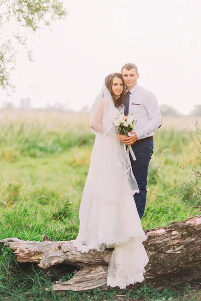 Hermosa pareja joven casada, novia en vestido blanco y novio guapo posando en el tronco del árbol — Foto de Stock