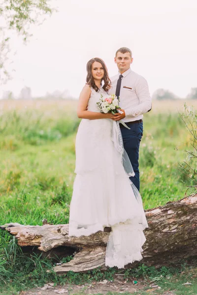 Hermosa pareja joven casada, novia en vestido blanco y novio guapo posando en el tronco del árbol — Foto de Stock