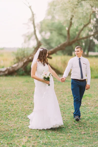 Guapo novio y novia en velo blanco caminando de espaldas tomados de la mano en el bosque verde de fondo — Foto de Stock