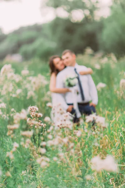 Belle mariée embrassant par derrière son beau marié dans la prairie d'été avec des fleurs sauvages au premier plan — Photo