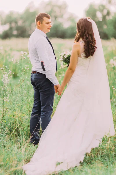 Schöner Bräutigam und Braut in weißem Schleier, die Händchen haltend auf dem Hintergrund grünem Wald zurückgehen — Stockfoto