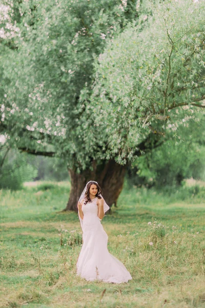Portrait of young bride holding her flying veil at the green park — Stok Foto