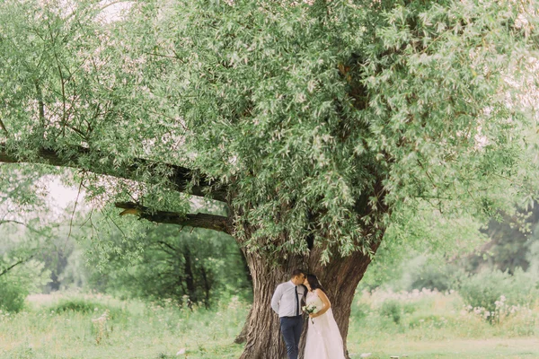 Glückliche junge Braut und Bräutigam küssen sich unter einem großen Baum mit frischen grünen Blättern auf der Frühlingswiese — Stockfoto