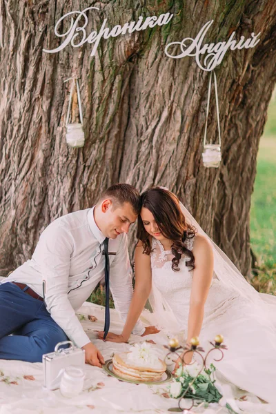 Красива весільна пара на пікніку під деревом зі стильним декором — стокове фото