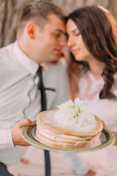 Крупним планом красива весільна пара на пікніку тримає торт на фоні дерева у весняному парку — стокове фото